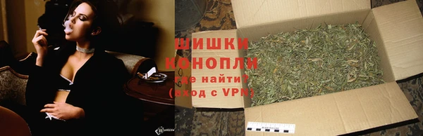 гидропоника Вяземский