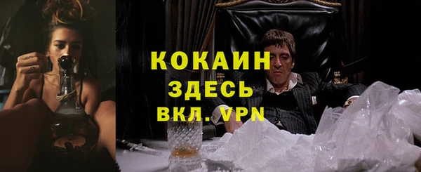 прущий лед Вязьма