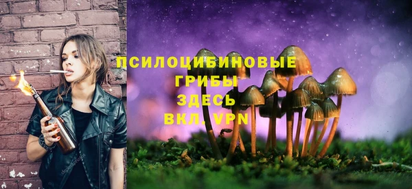 гидропоника Вяземский