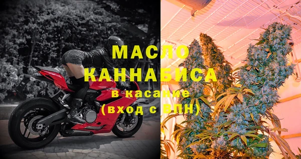 сатива Горняк