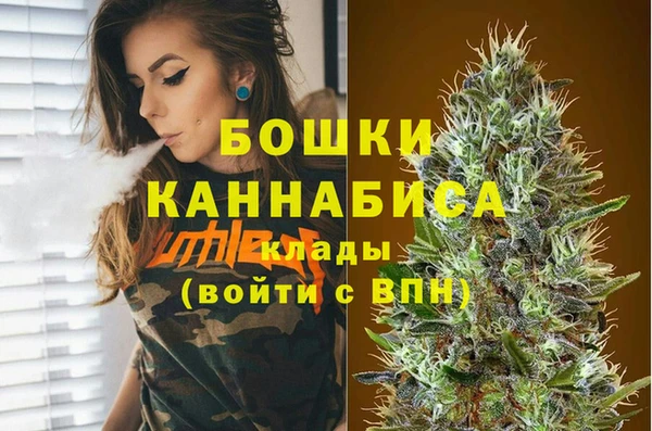 прущий лед Вязьма